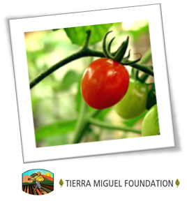 Tierra Miguel Foundation