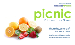 Guidance Green Picnic