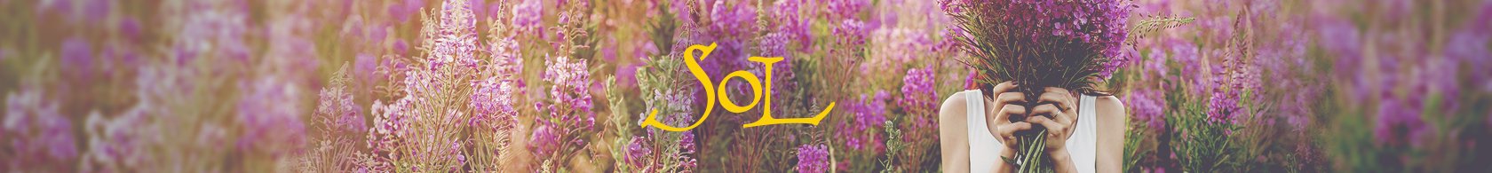 SOL_Header-field-2_0