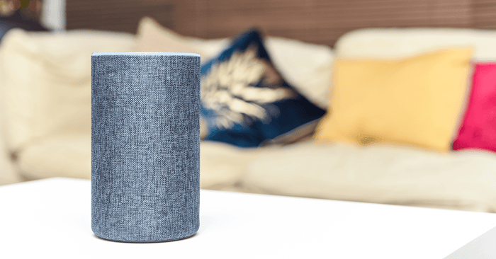 Voice Ordering- The Future of Ecommerce-2 (1)