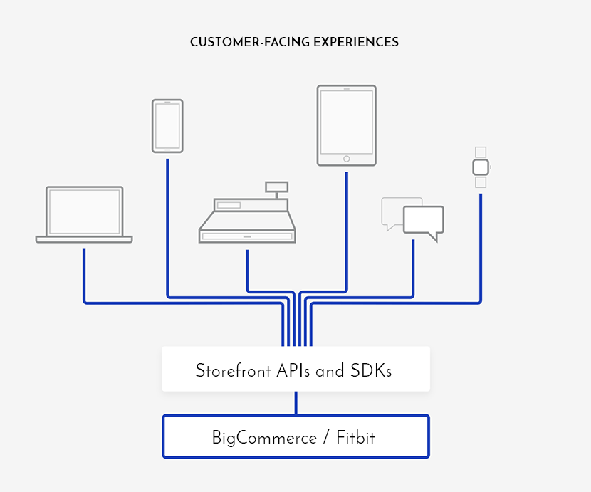 Fitbit Customer Facing Experiences Diagram