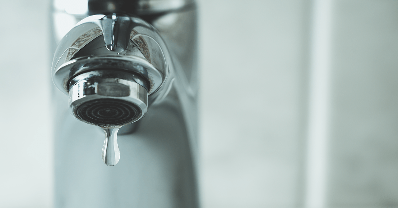 Prevent Revenue Leakage with Fraud Protection
