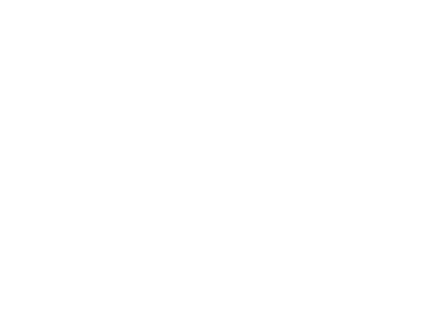 T3 Micro