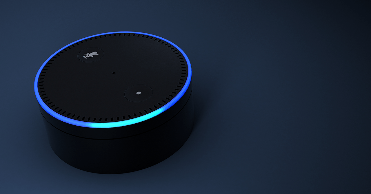 Voice Ordering: The Future of Ecommerce