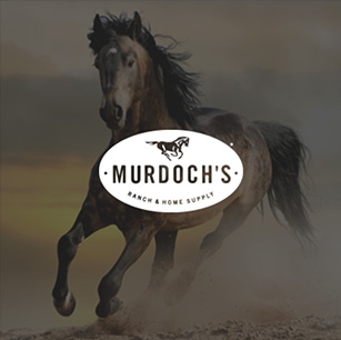 related-work-murd-1